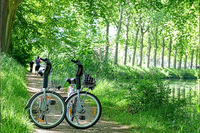 Le Canal du Midi à vélo