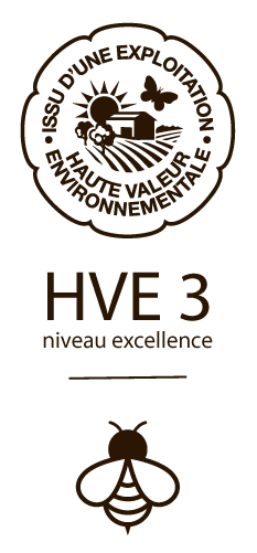 Logo HVE - Niveau 3